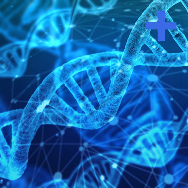 DNA Analysis